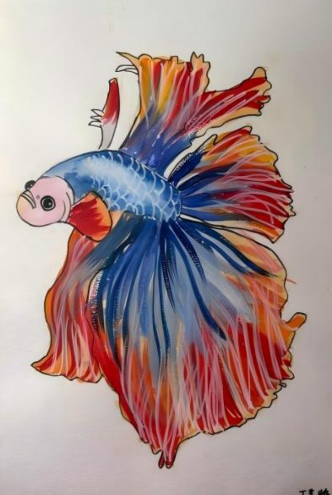 我的往日科技梦