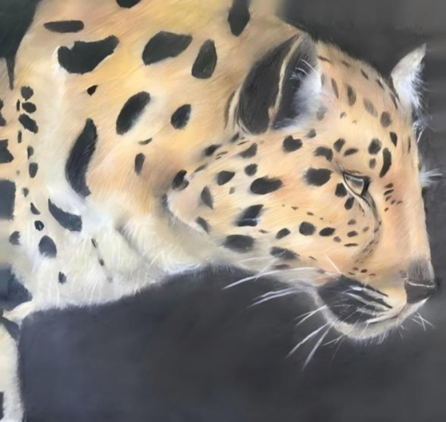 种下一颗科学的种子