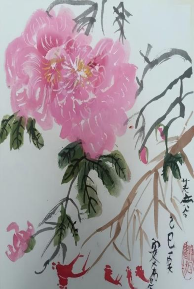 科学与艺术的彩虹桥