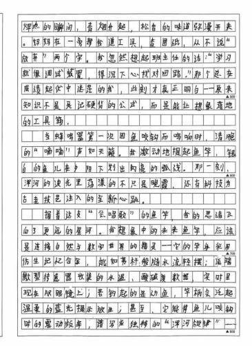 我的奇想妙想札记本