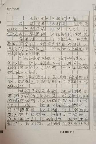 我的奇想妙想札记本