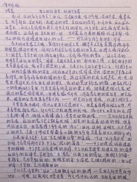 我的奇想妙想札记本