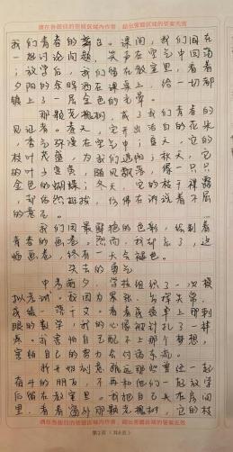 我的奇想妙想札记本