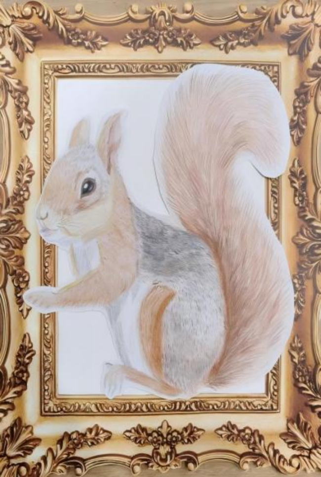 奇思妙想展览会