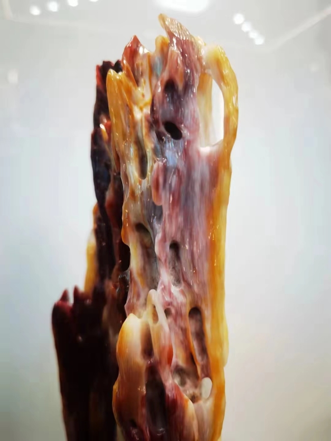 树化玉（植物舍利子宝石）科学与文化全面科普图文