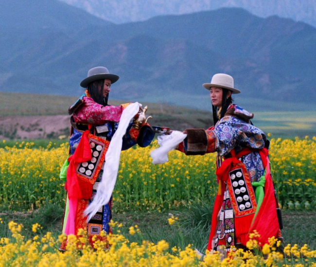 河西门户·多彩藏乡——天祝，等你共赴 一场高原之约