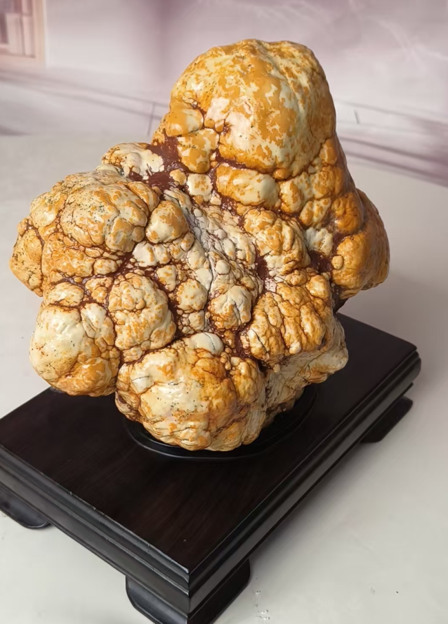 【名石典藏】《金獒守瑞》西藏丁青象牙玉籽料・藏獒象形奇石