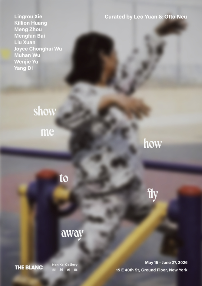 在纽约，关于上海的故事继续生长——《Show Me How to Fly Away》展览回顾