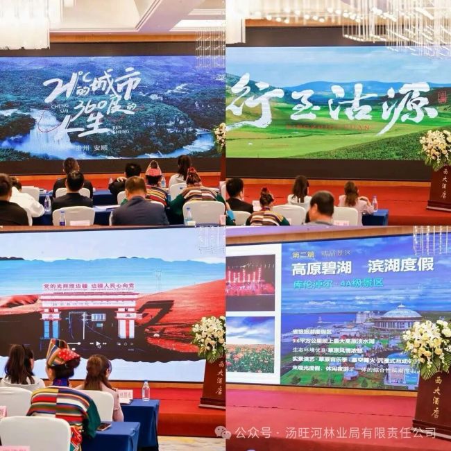 汤旺河林业局公司带队亮相全国文化生态旅游品牌创新峰会面向全国文旅市场精准推介