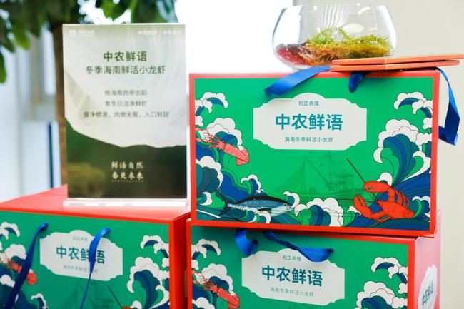 这个冬天“更过瘾”,让反季海南鲜活小龙虾治愈你的胃