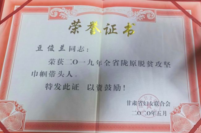 绽放在榆中大地上的坚韧蔬菜花