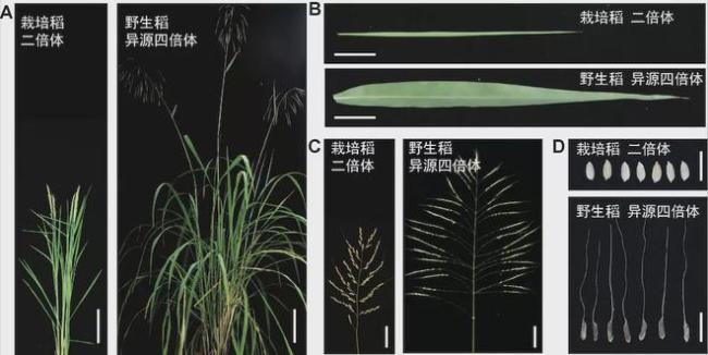 两院院士评选2021年中国十大科技进展新闻揭晓