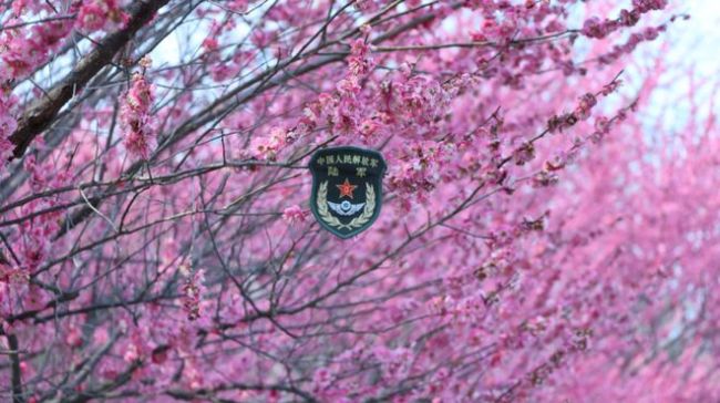 16所军校的春景！