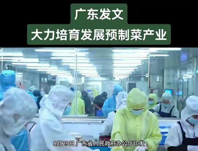预制菜都进入了校园，网友：为何不进政府食堂？