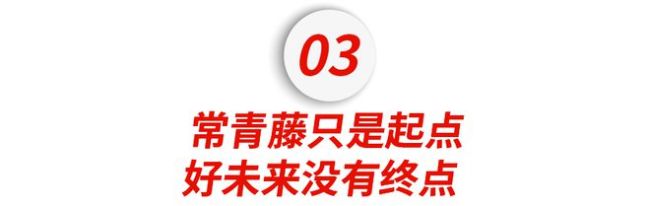 中国留学生退学率高达25%？他们却越挫越勇逆流而上…….