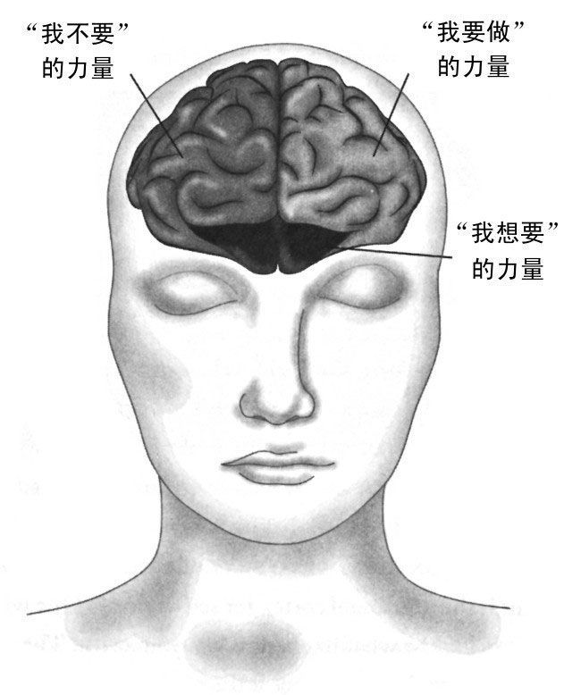 短视频正在“吃掉”孩子的大脑，但解决办法不是禁止