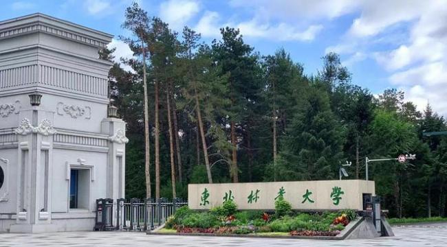 中国最冷门的8所211大学，就业率却很高，500多分就能上！