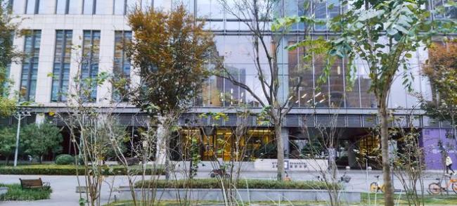 考大学选城市：这10个城市为什么香？