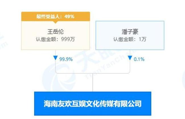 王岳伦工作室被横店影视起诉 被判还宣发费250万