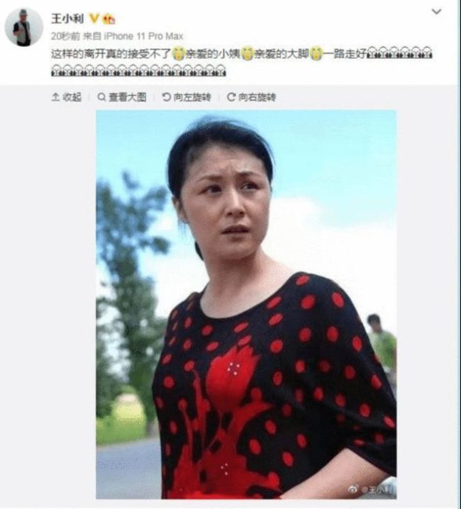 于月仙的丈夫发布讣告称 这对夫妇是放弃生育的同学