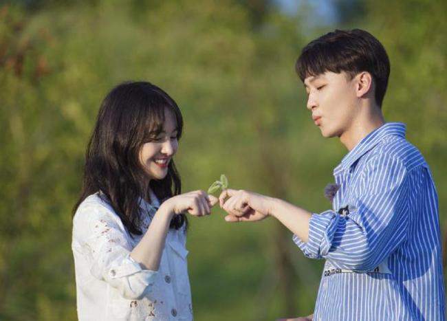 郑爽偷逃税被罚款 揭秘明星工作室是如何避税的？