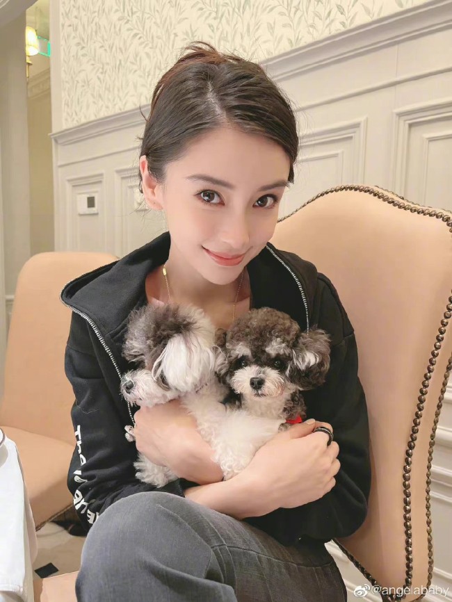 angelababy晒与狗狗合照 美女姐姐与狗狗很有爱