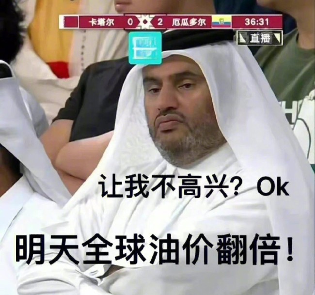 看世界杯了吗？卡塔尔王子们的表情包！