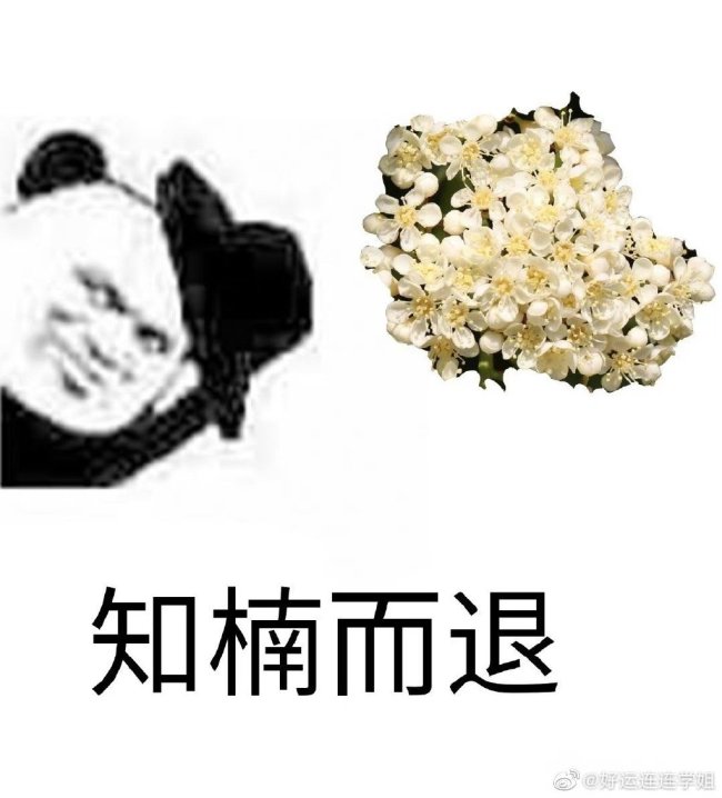 哈哈！石楠花的花语“yue” 所以这花到底什么味？