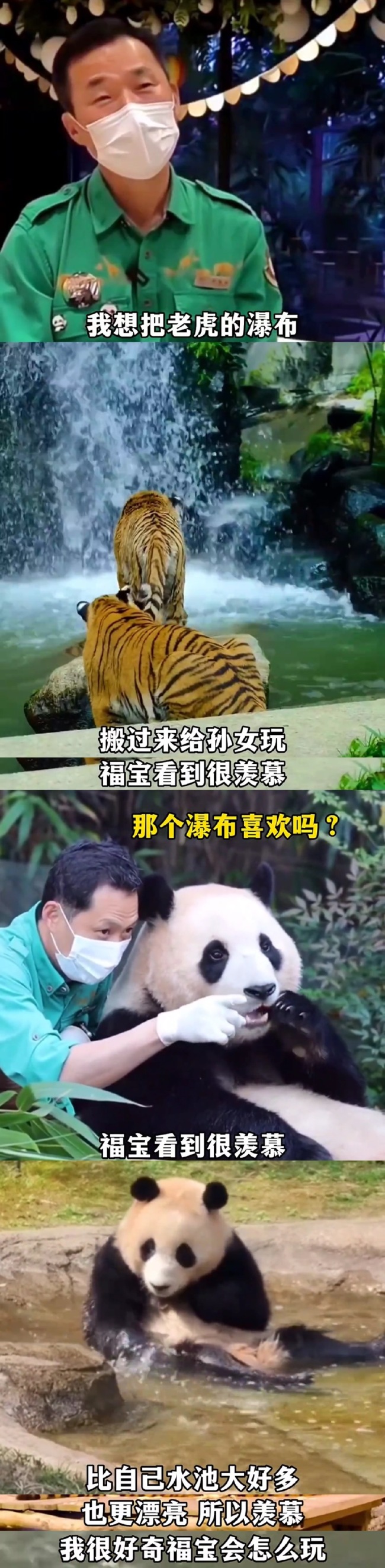 姜爷爷脸都笑烂了 熊猫福宝很幸福！