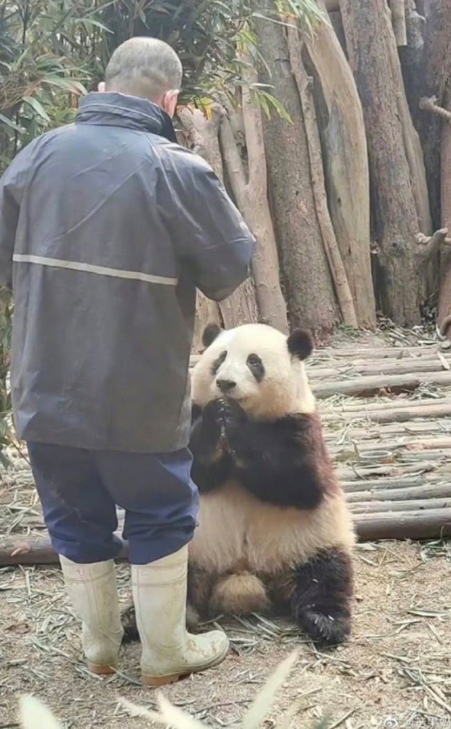 相亲相爱！谭爷爷的手机屏保是花花