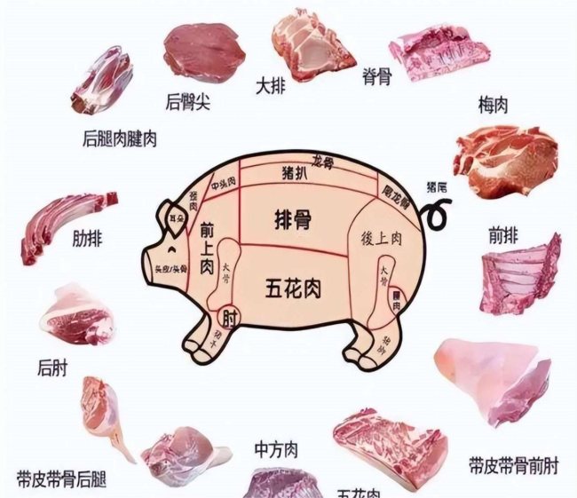 猪肉中“最毒”器官，国度虽明令阻截，但为何还有东说念主不知情买来吃