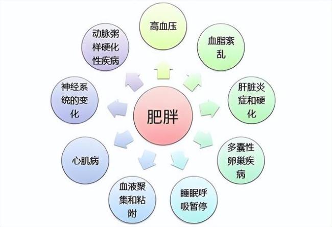 身材决定寿命？研究发现：活过80岁的老人，身材大多有两个特征 腰细微胖更长寿