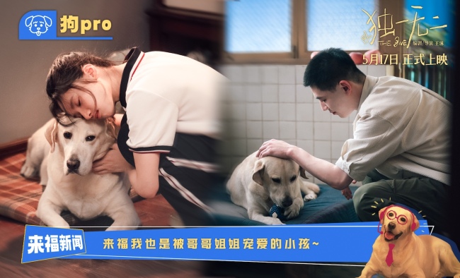 电影《独一无二》全新特辑“狗pro”观察室爆料全新大“瓜” 张婧仪辛云来兄妹助攻互为“恋爱军师”