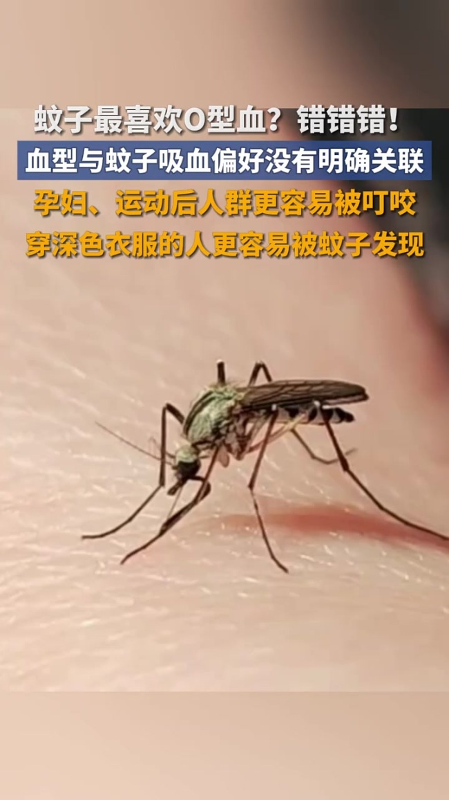 蚊子更偏爱O型血的人吗？蚊子喜欢咬什么血型的人