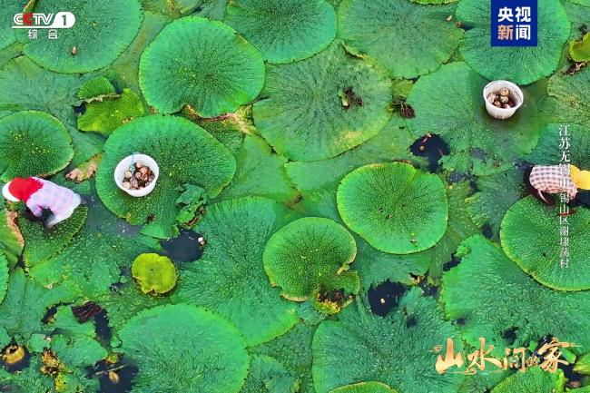 《山水间的家》新一季治愈回归，与您共赴山海新程