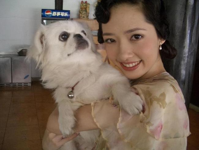 向家被传破产，郭碧婷何去何从：台湾女星的豪门路，屡战屡败？ 豪门梦碎疑云