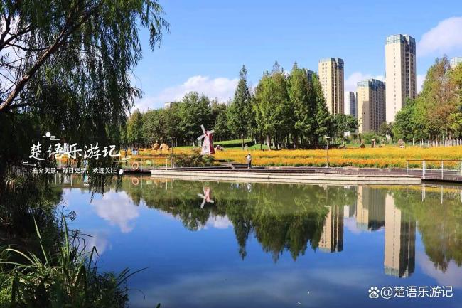 浙江宁波这片城中花海再次绽放，堪称赏花界顶流，非常值得游玩 藏在秋天的童话