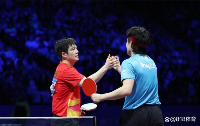 张继科怒怼樊振东黑粉：小胖只会拧和搓？