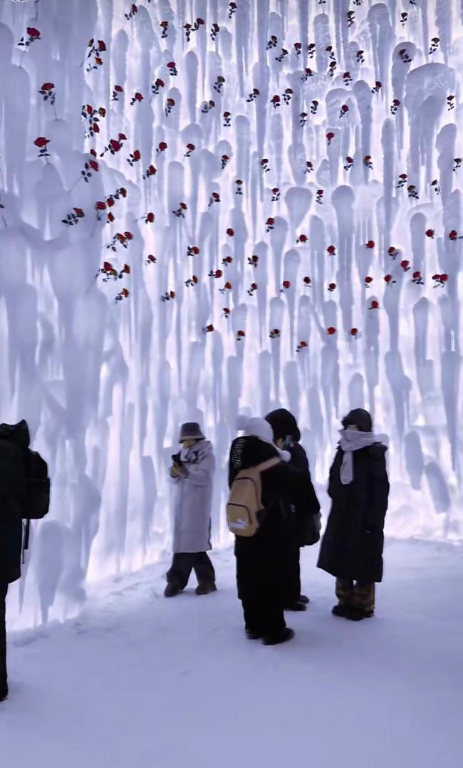 尔滨你是有点子浪漫在身上的 冰封玫瑰惊艳全网
