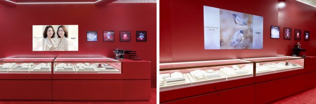 “每一面 为光所映”能干长安 自然钻石联袂陈星旭共启新岁新程