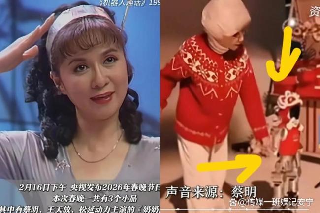 马年春晚机器东说念主太全面了 科技颤动全场