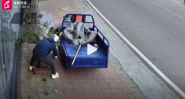 2贼偷万元盆景搬不动砸盆取树