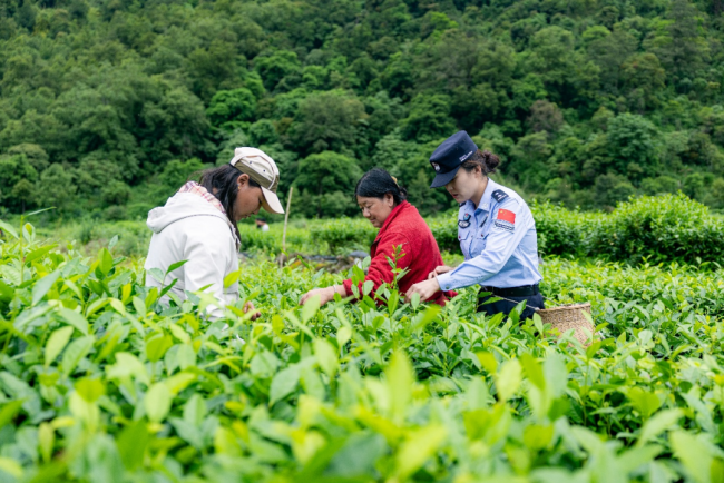 莲花秘境的守望者｜《万里国境》第四季第一集正式开播