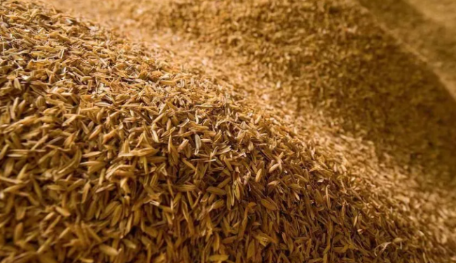 稻壳的用量也有讲究。稻壳用量若过大，则会带来过剩的氧气，好氧菌增长速度过快，就会导致堆积发酵过程前期温度过高，影响酒质。
