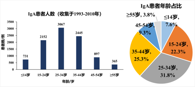 中国IgA肾病患病年龄分布（参考来源[3]）