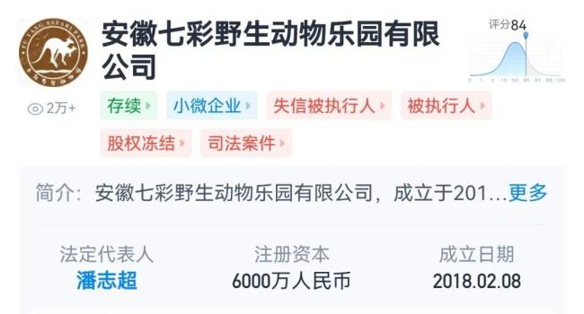 阜阳野活泼物园决议方被罚1139万元！曾被曝20只东北虎物化，10仅仅幼虎…