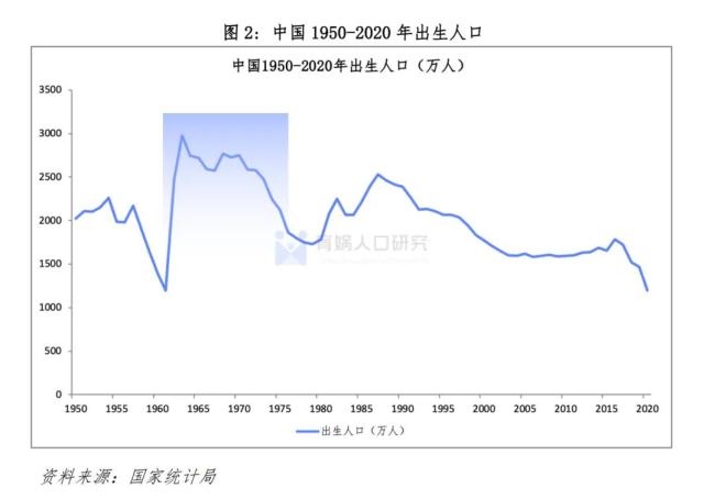 ▲图源：育娲人口研究智库