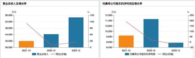 业绩“失速”、过度依赖大客户，矽电股份仍头悬“利剑”