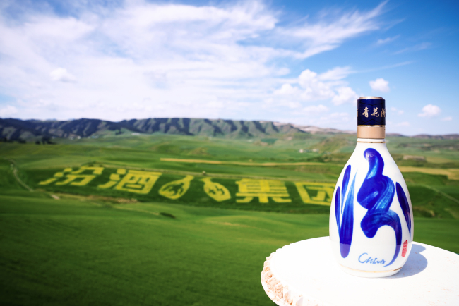 五载粮心路，一部品质史：汾酒第一车间深入新疆奇台！