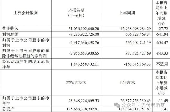 来源：天合光能2025年半年度报告